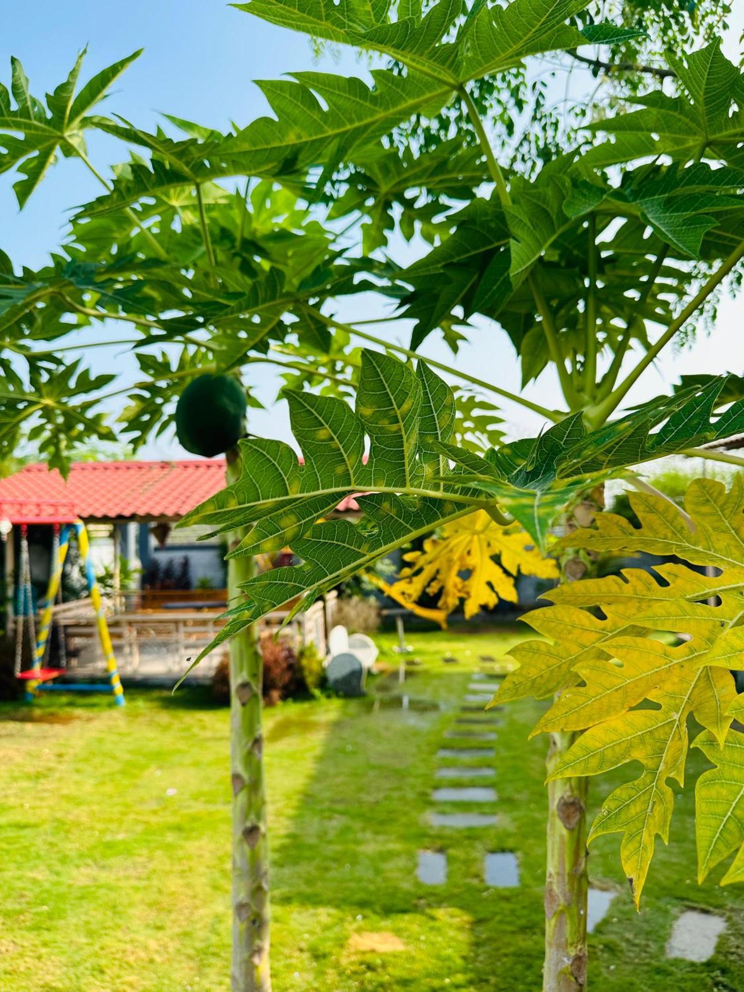 Pk Sahara Farm Stay Mysore Exterior photo
